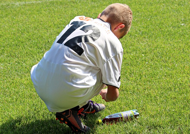 原因和前景 原因和前景