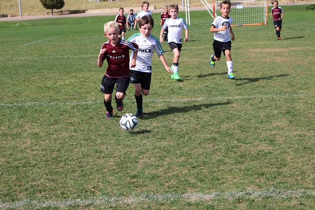 中不可或缺 中不可或缺