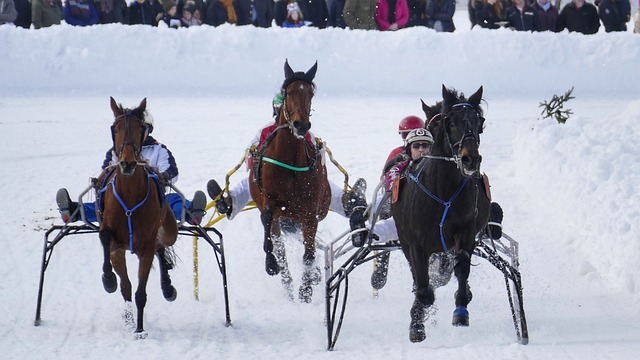 于政府干预 于政府干预