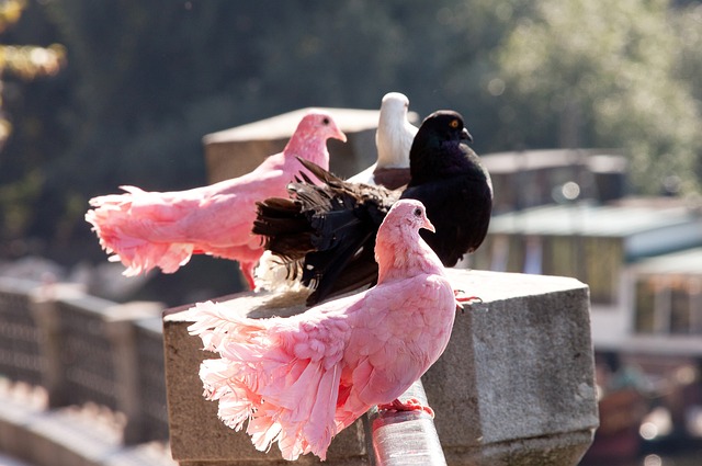 坚定的信念 坚定的信念