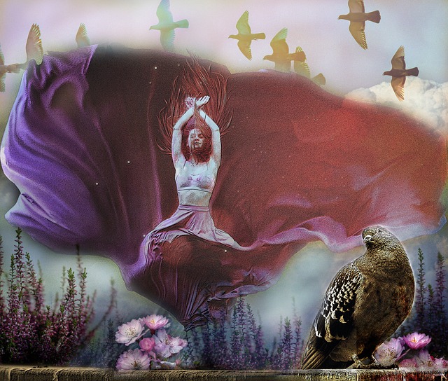 承办单位的 承办单位的