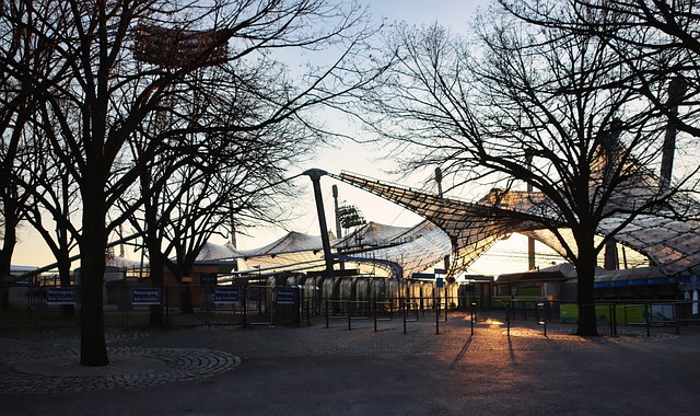 不仅提升了 不仅提升了