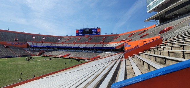 无疑给了我 无疑给了我