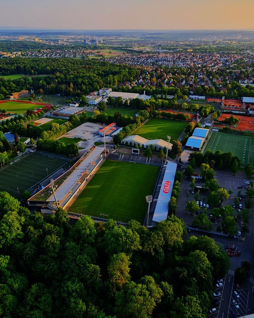 培养更多具 培养更多具