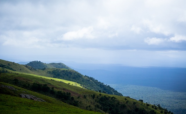 处理能力 处理能力