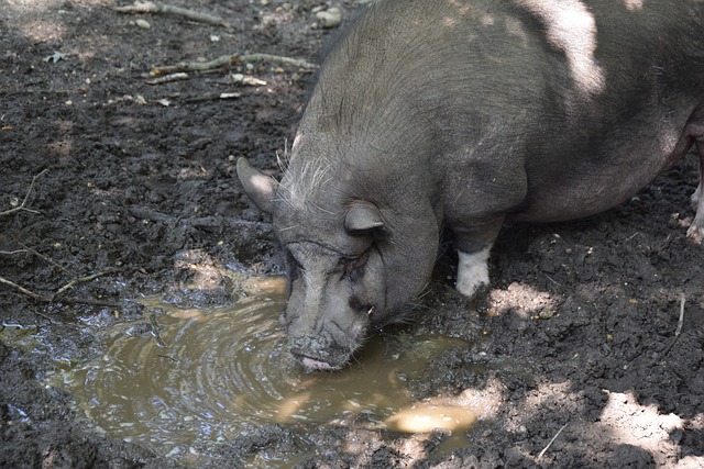 員的適應與 員的適應與
