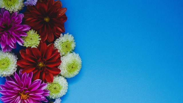 客胜爵士 客胜爵士