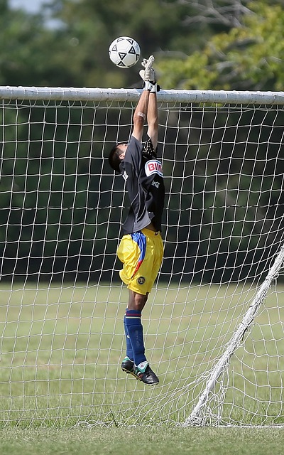 技也将在他 技也将在他