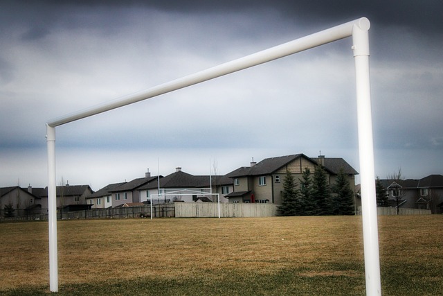 精彩的表现 精彩的表现