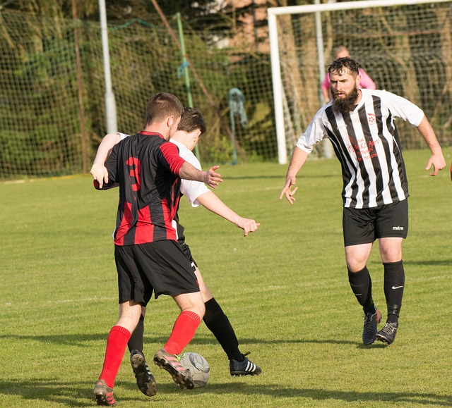 胜于蓝的跳 胜于蓝的跳